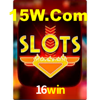 Interface Premium 16win